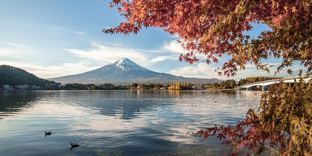 A view of a volcanic mountain framed by the leaves of a Japanese maple