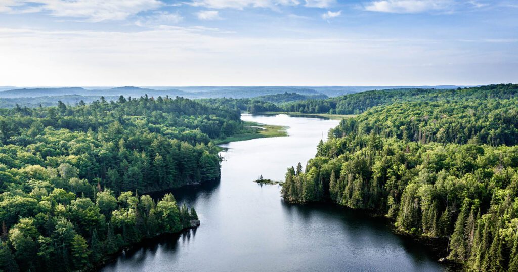 Aerial view of a lake and forest in the morning with mist over the forest in the distant horizon.